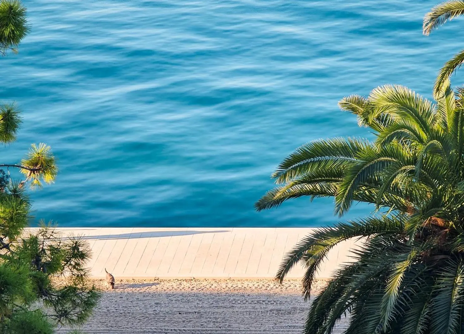 شقة Pied-A-Terre By Belmont Realty زادار